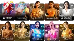 ask4wins เข้าสู่ระบบ